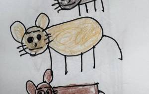 アールブリツト挑戦 - 笹谷正博