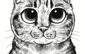 チャチャ - Yukari 