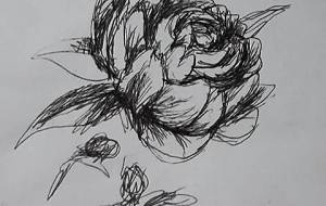 寒花、落書きドローイング障がい者アート作品、もったいないから棄てるような少し汚い紙に描いた - 真鍋哲地 