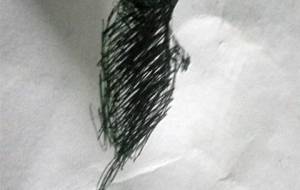 僕は老猫霊のピーチ！おばあちゃん心配だよ（障がい者ドローイングボールペン画作品） - 真鍋哲地 