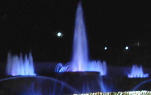 夜の西山公園（噴水) - 社畜女子はトラジェンになりたい 