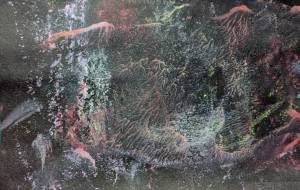 夢のような瞬間 - つし 