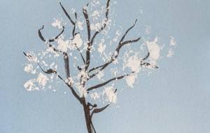 あわゆき花 - つし 