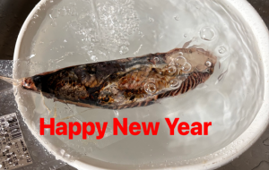 Happy New Year - 笹谷正博 