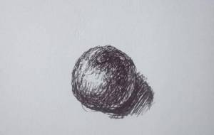 おばさんの柚子(ボールペン画アート障がい者ドローイング作品) - 真鍋哲地