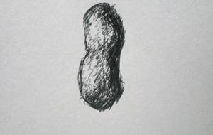 ドローイング障がい者アート（ピーナッツ） - 真鍋哲地 