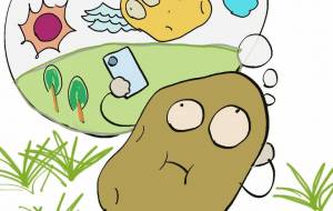 イカロスを想う - 香織 