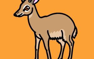 キルクディクディク - シマハイエナ