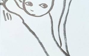 こっちを見る猫 - つし 