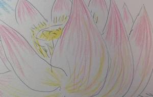 日の出の朝 - サオリ 