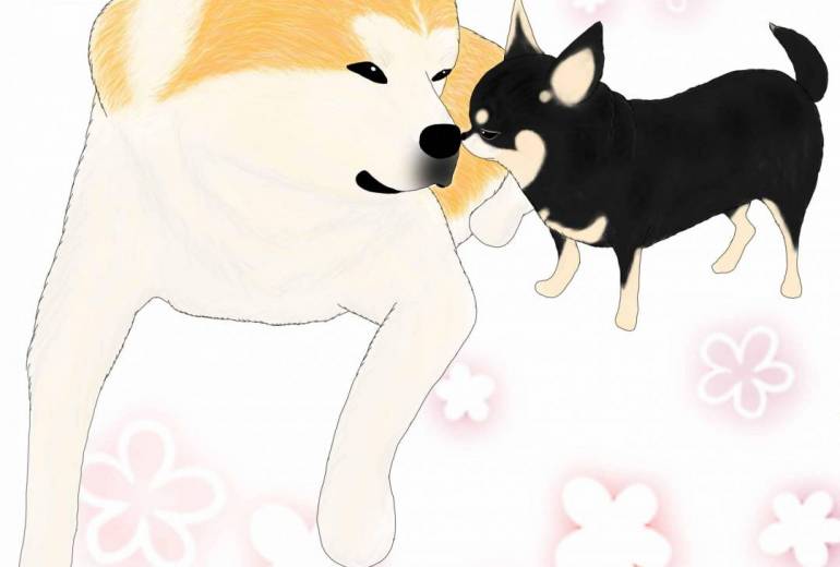 仲良し兄弟（秋田犬・赤毛、チワワ・黒毛）