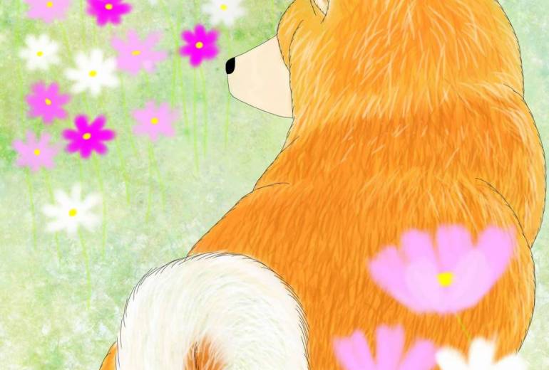 花と秋田犬「コスモス」（秋田犬・赤毛）