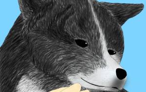 やめろよー（秋田犬・虎毛） - 華凪 