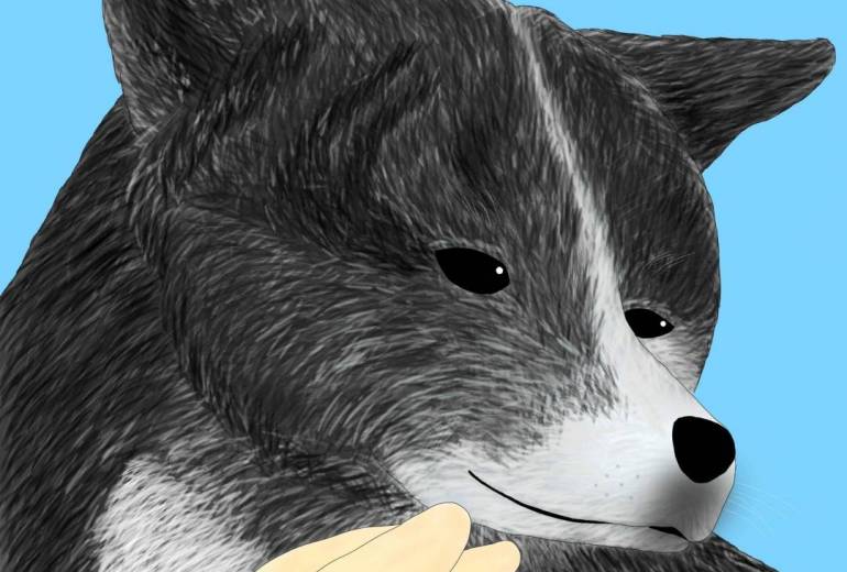 やめろよー（秋田犬・虎毛）