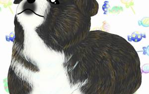 きゅるるん（秋田犬仔犬・虎毛） - 華凪 