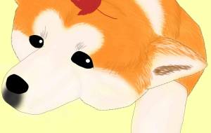 秋ですね(秋田犬・赤毛) - 華凪