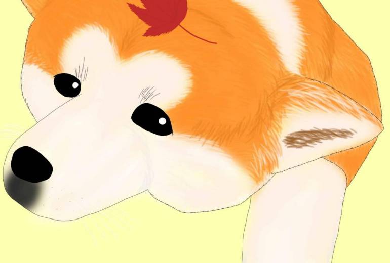 秋ですね（秋田犬・赤毛）