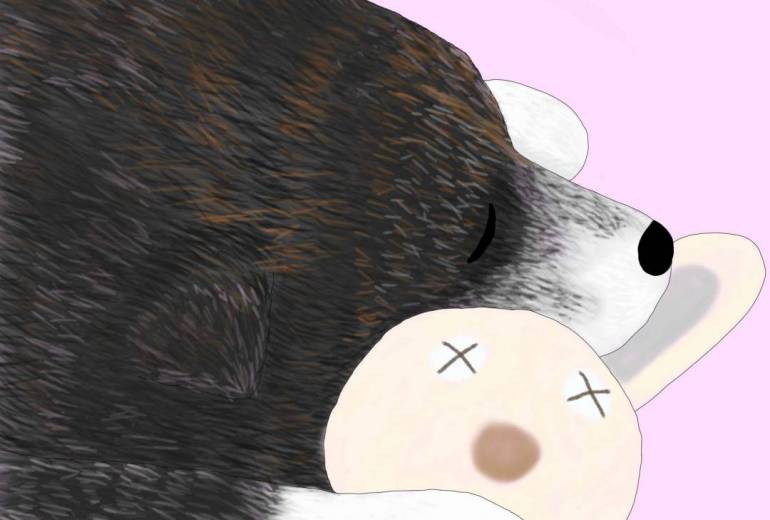 すやすや（秋田犬・虎毛）