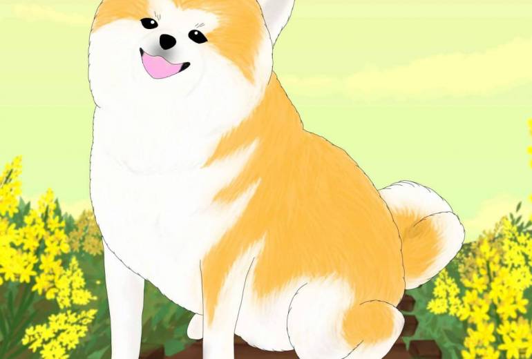 にこっ（秋田犬・赤毛）