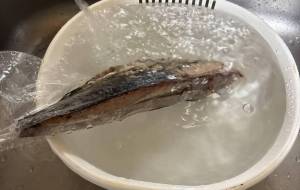 お正月大型サイズカツオのたたき捌きます - 笹谷正博 