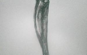 母さん、このイワシにも子どもがいて母がいるのでしょうか？今ただ施設にいる母さんに逢いたいです（ボールペン画を強く描きたい） - 真鍋哲地 