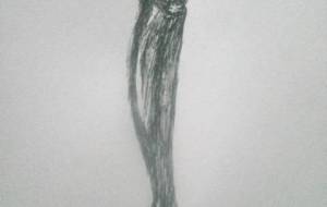 鰯よ、僕は君のように強く生きていたい - 真鍋哲地 