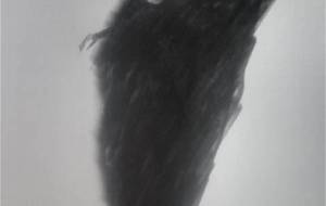 終焉終末般若（写実マンガアートドローイング） - 真鍋哲地 