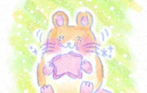 ハムスター - まかろんちゃん 