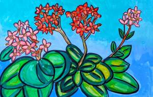 カランコエ - satti 