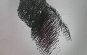 精神障がい者ドローイング作品 黒猫 - 真鍋哲地 