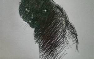 黒猫（沢山 投稿して考えること） - 真鍋哲地 