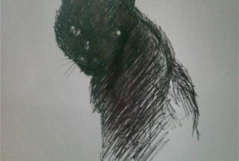 嫌われ者誰が？野良猫（そんな事はない？可愛い）