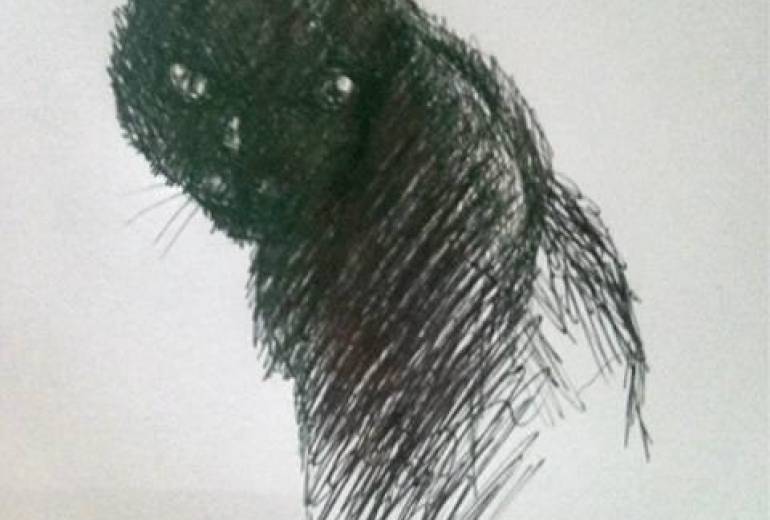 嫌われ者、もう僕は野良猫 誰も僕は信じないよ（？信じる？、とは何か？）