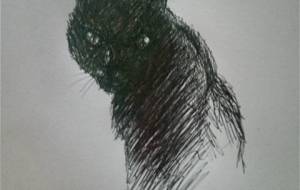 嫌われ者、僕は野良猫 誰も僕は信じないよ(悲しくて僕の叫び声聞こえる!!?信じる?、とは何か?) - 真鍋哲地