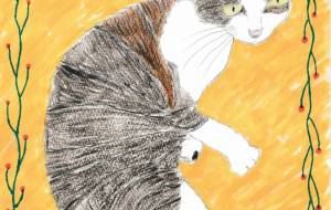 のびる猫 - 小林葉子 