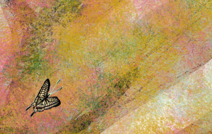 こころの中の四季 - かずもがな