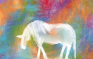 午年 - 相田朋子 