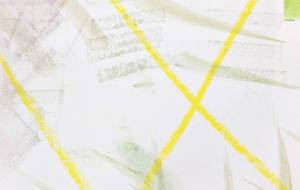 レモングラスの香り - つし 