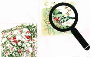 南天の樹々 - 一期一会 