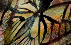 アゲハのなぞ - かずもがな 