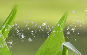 鶴 - かずもがな 