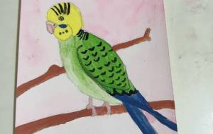 セキセイインコ - 金谷茜 