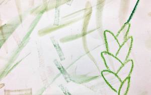 森の香り2 - つし 