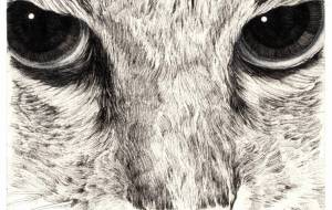 門開天下春2022 - 山田貴裕 