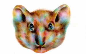 ネズミ - 田寺　誠人 