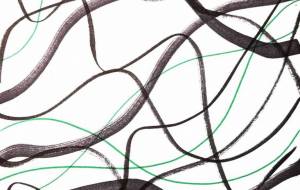 もじゃもじゃ - つし 