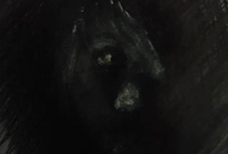 少年どこか遠い空の下、瞳ギラつく、生きること、