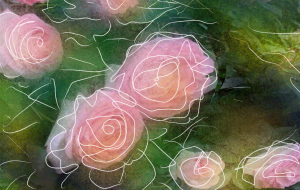 薔薇 - かずもがな 