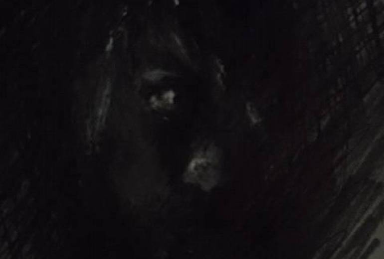 少年の悲しき瞳は語る、貧困者や認知症のかたを差別し者へ（差別し弱き者、汝へ）