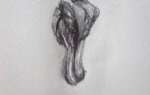 温優野菜、チンゲン菜（心描ドローイングボールペン絵画） - 真鍋哲地 